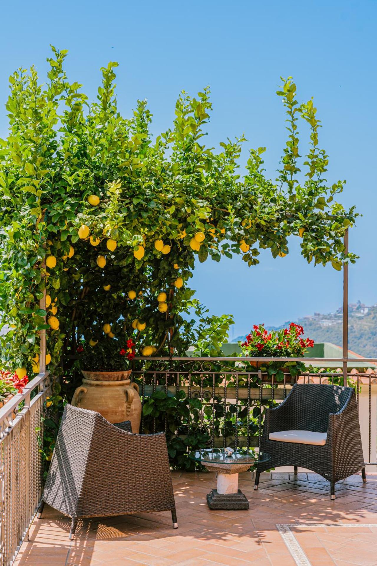 B&B Il Cortile ราเวลโล ภายนอก รูปภาพ